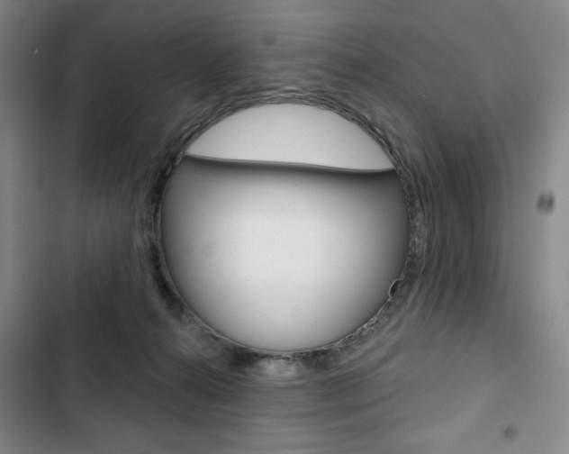 X0000103150272200808221135