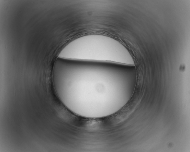 X0000103150274200808221135