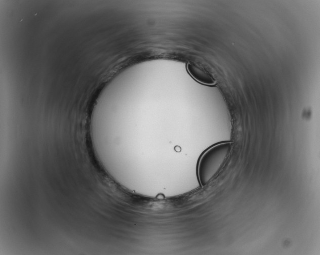 X0000103150275200808221135