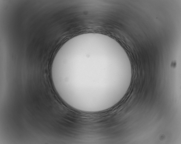X0000103150276200808221135