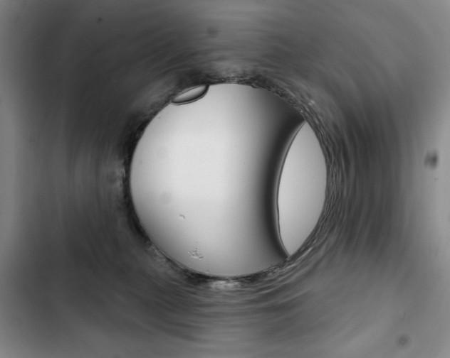 X0000103150279200808221135