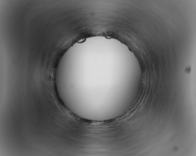X0000103150280200808221135