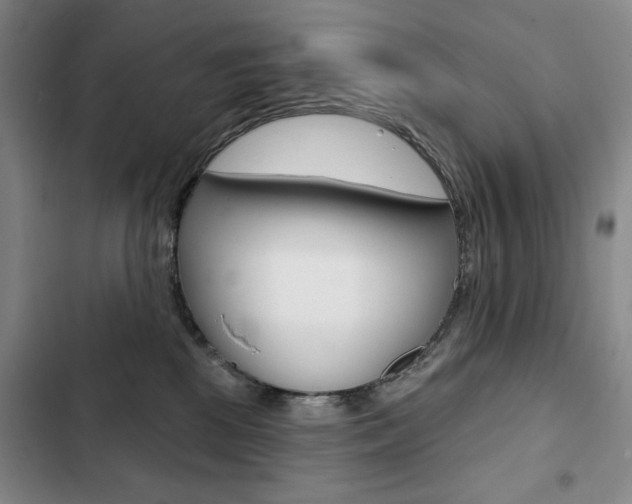 X0000103150281200808221135