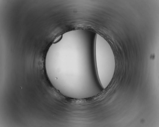X0000103150282200808221135
