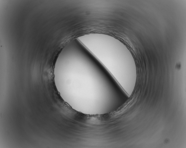 X0000103150285200808221135