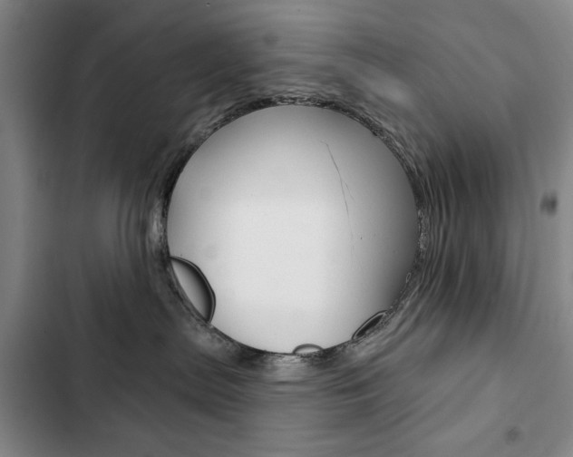 X0000103150287200808221135