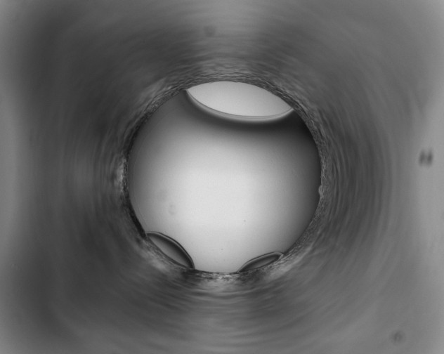 X0000103150288200808221135