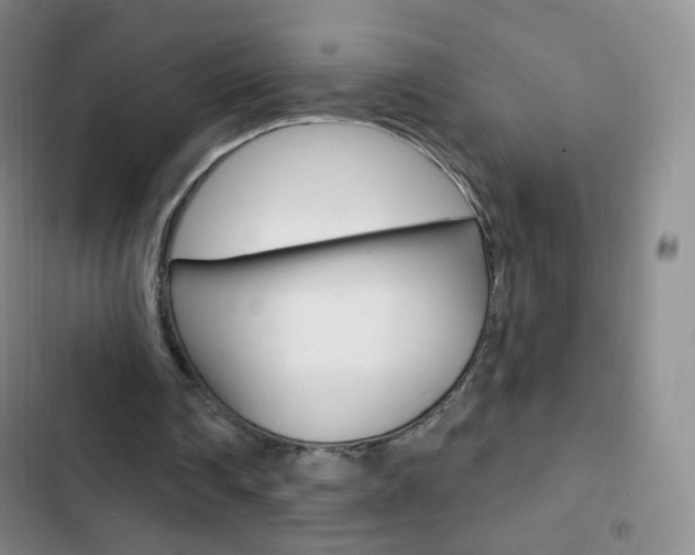X0000103150290200808221135