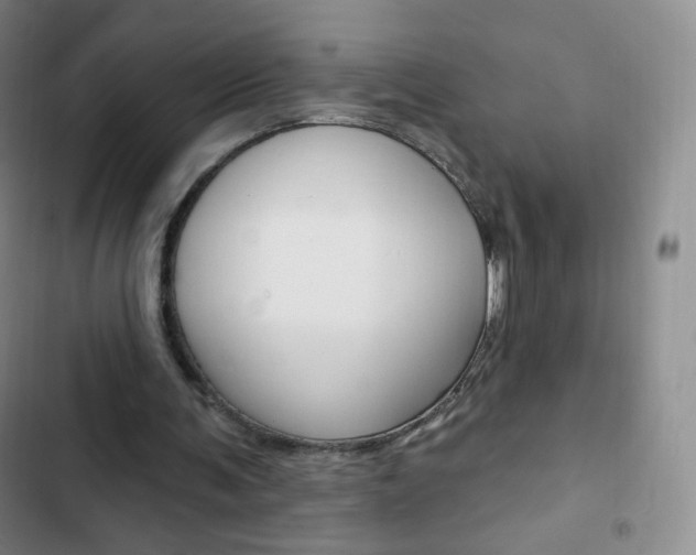 X0000103150291200808221135