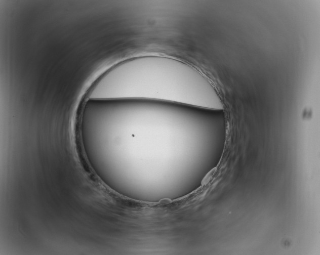 X0000103150292200808221135