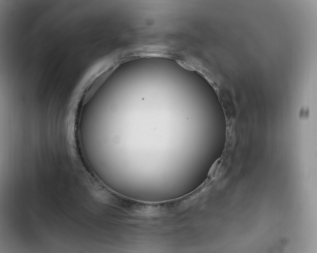 X0000103150293200808221135