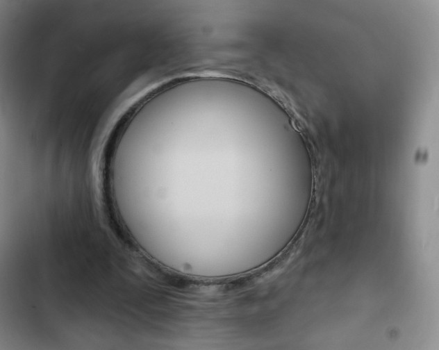X0000103150295200808221135