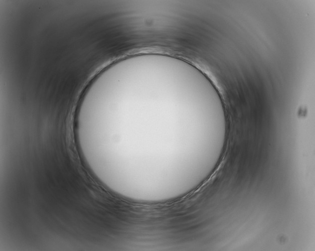 X0000103150297200808221135