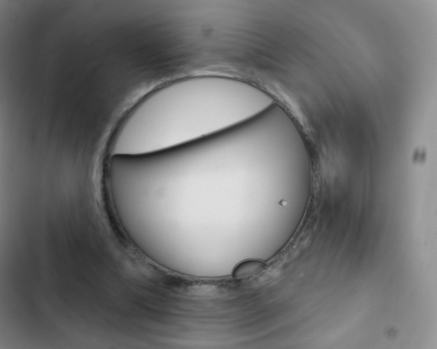 X0000103150298200808221135