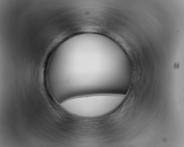 X0000103150299200808221135