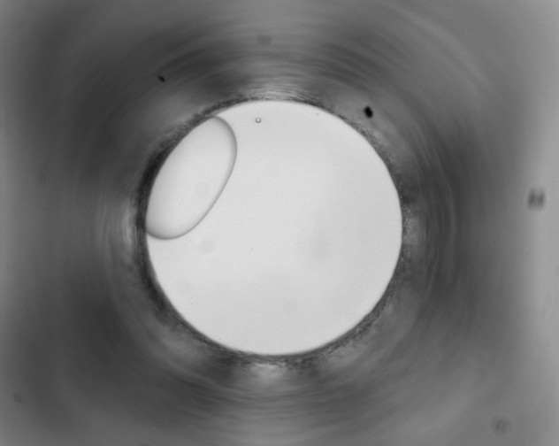 X0000103150302200808221134