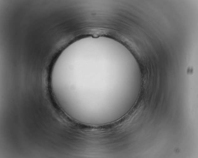 X0000103150303200808221134