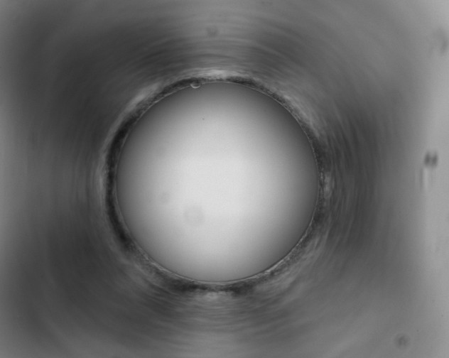 X0000103150304200808221134
