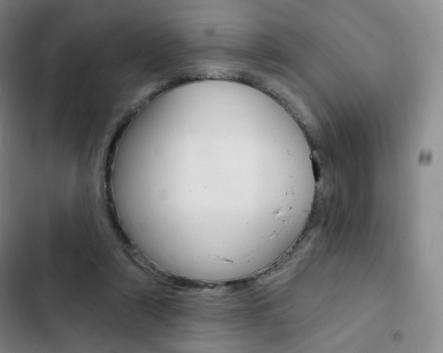X0000103150306200808221134