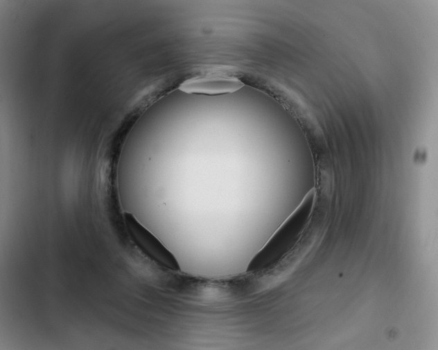 X0000103150308200808221134