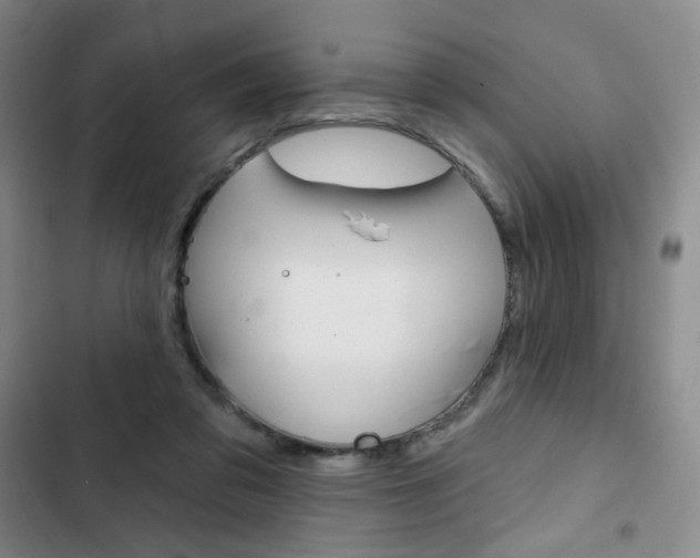 X0000103150309200808221134