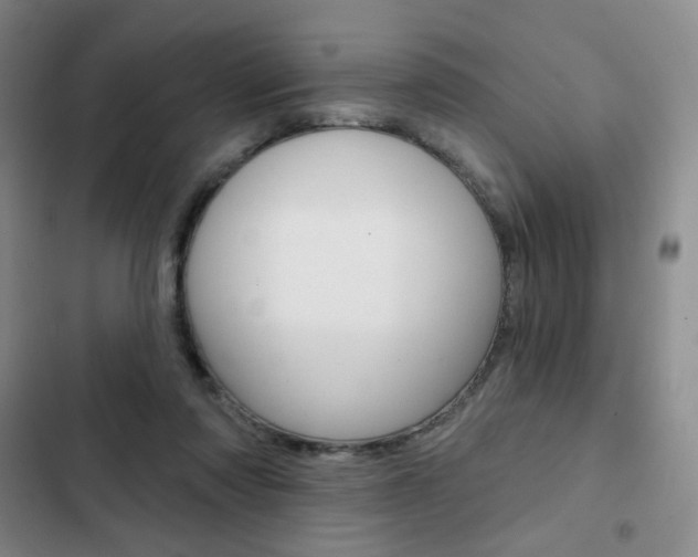 X0000103150310200808221134