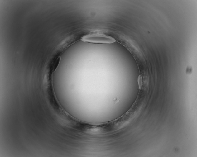 X0000103150312200808221134