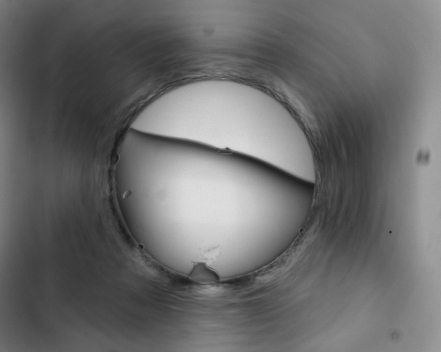 X0000103150313200808221134