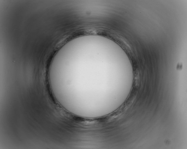 X0000103150314200808221134