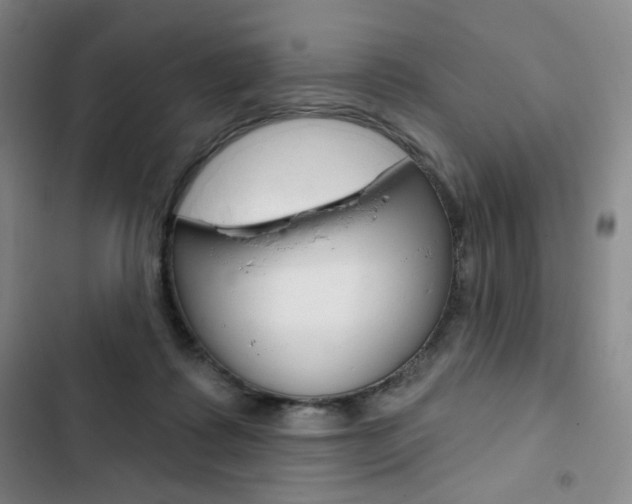 X0000103150315200808221134