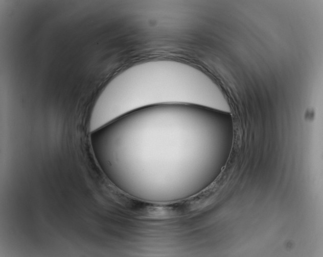 X0000103150316200808221134