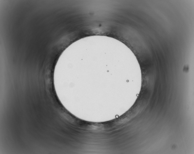 X0000103150317200808221134