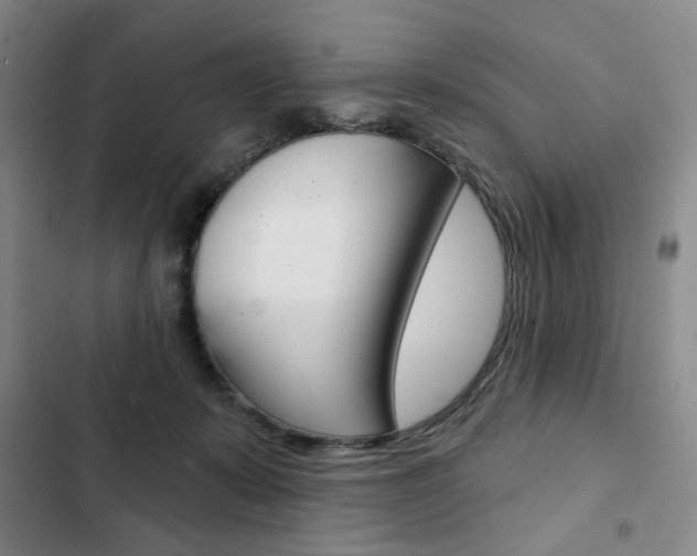 X0000103150319200808221134
