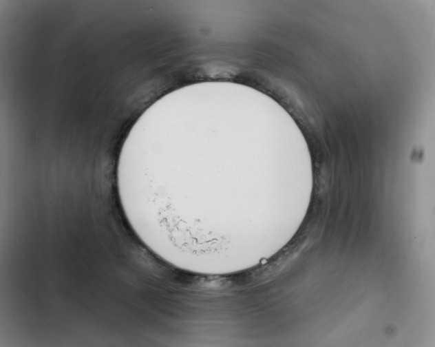 X0000103150321200808221134