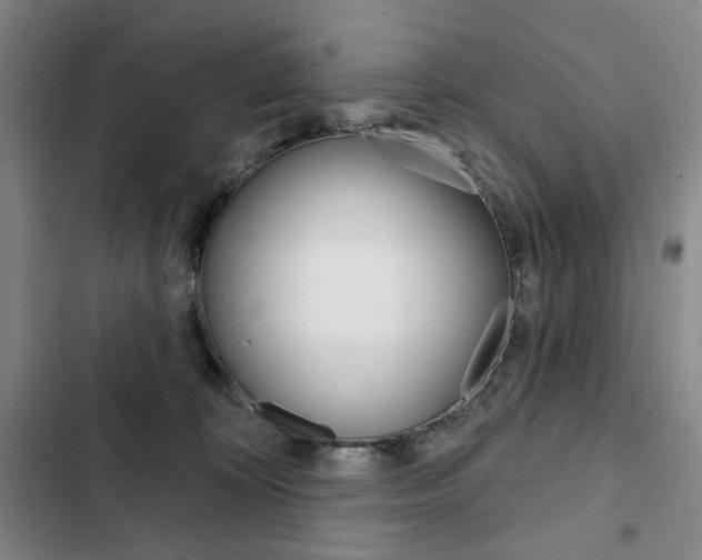 X0000103150324200808221134