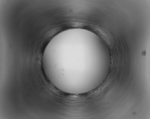 X0000103150325200808221134
