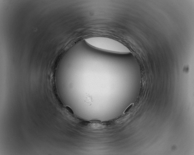 X0000103150327200808221134