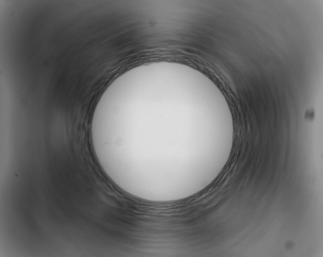 X0000103150328200808221134