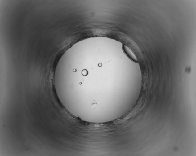 X0000103150329200808221134