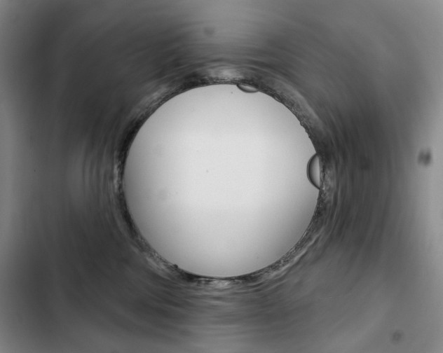 X0000103150330200808221134