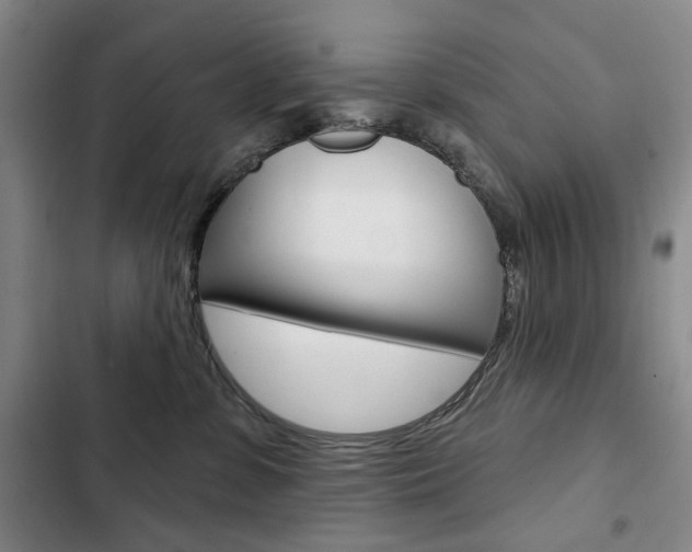 X0000103150331200808221134