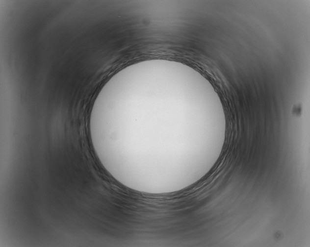 X0000103150332200808221134