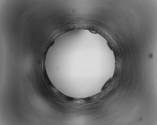X0000103150333200808221134