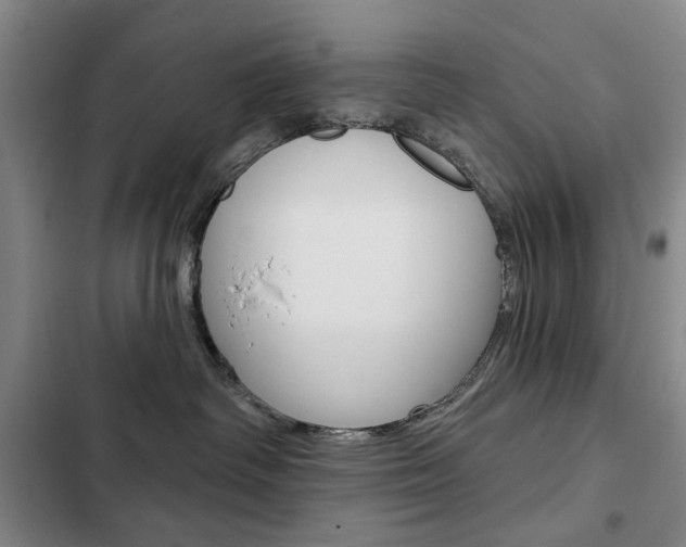 X0000103150334200808221134