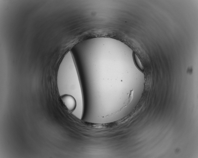 X0000103150335200808221134