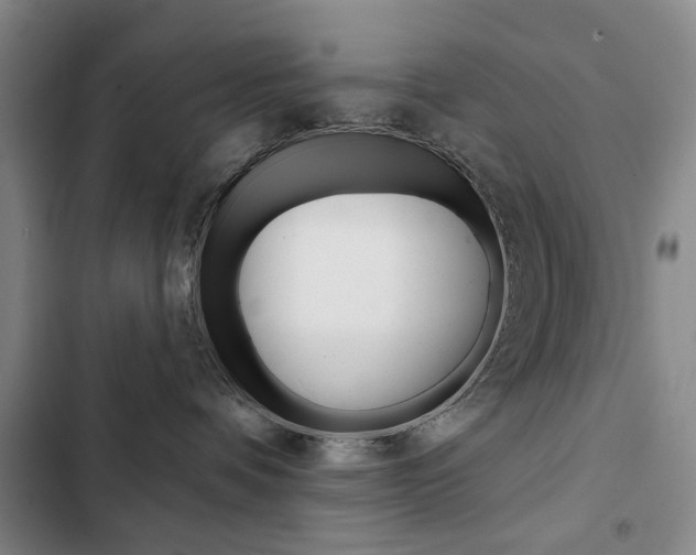 X0000103150336200808221134