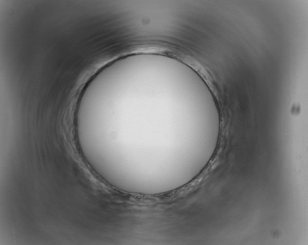 X0000103150337200808221133