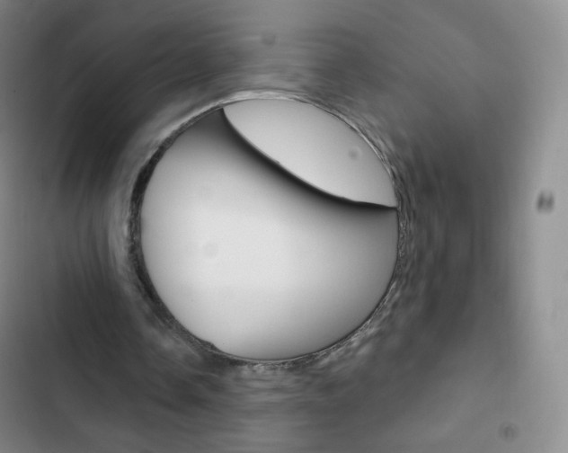 X0000103150338200808221133