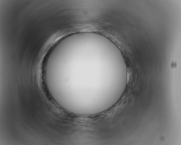 X0000103150339200808221133