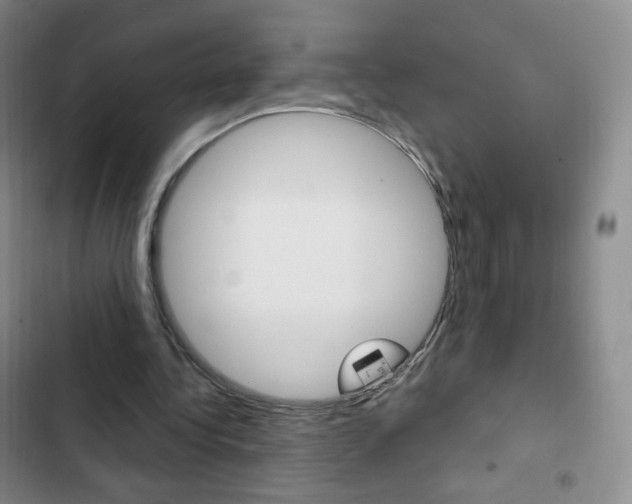 X0000103150340200808221133
